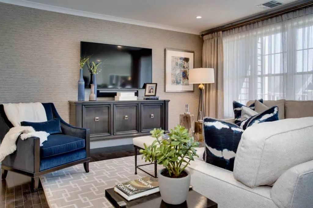 A modern living room in Long Island features a dark blue armchair, gray sofa, and patterned pillows. A large flat-screen TV sits on a cabinet. There's a potted plant on the coffee table, a floor lamp, and large curtains filtering sunlight from the windows—a design by top interior designers.