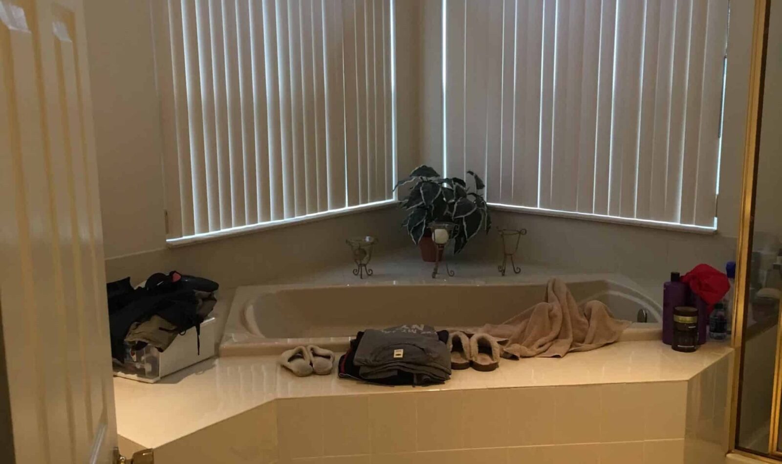 Plainview NY bathroom interior design before renovation